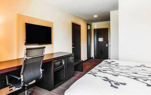Imagen de la habitación del Hotel Sleep Inn and Suites. Foto 1