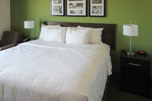 Imagen de la habitación del Hotel Sleep Inn and Suites. Foto 1