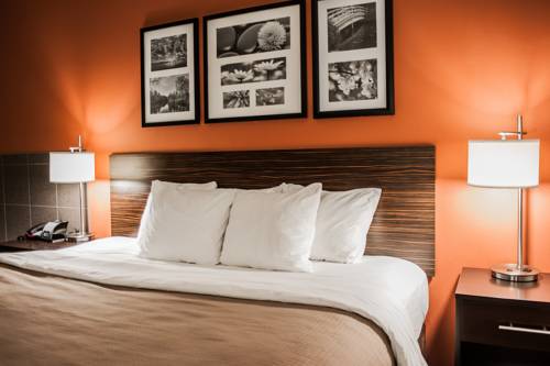 Imagen de la habitación del Hotel Sleep Inn and Suites Fort Campbell. Foto 7