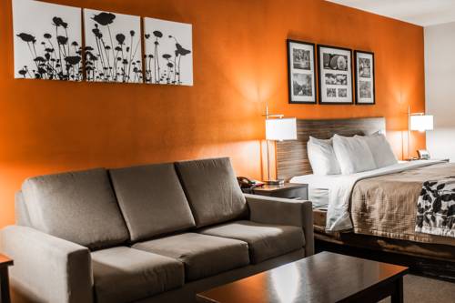 Imagen de la habitación del Hotel Sleep Inn and Suites Fort Campbell. Foto 8