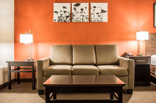 Imagen de la habitación del Hotel Sleep Inn and Suites Fort Campbell. Foto 11