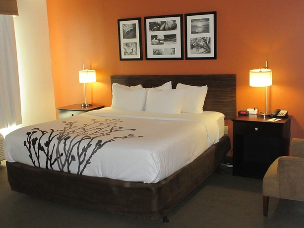 Imagen de la habitación del Hotel Sleep Inn and Suites Fort Lauderdale Airport. Foto 5