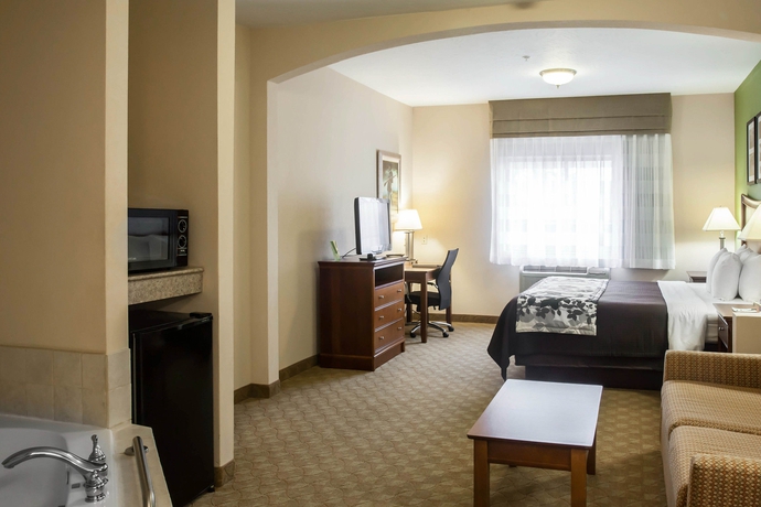 Imagen de la habitación del Hotel Sleep Inn and Suites, Gettysburg . Foto 8