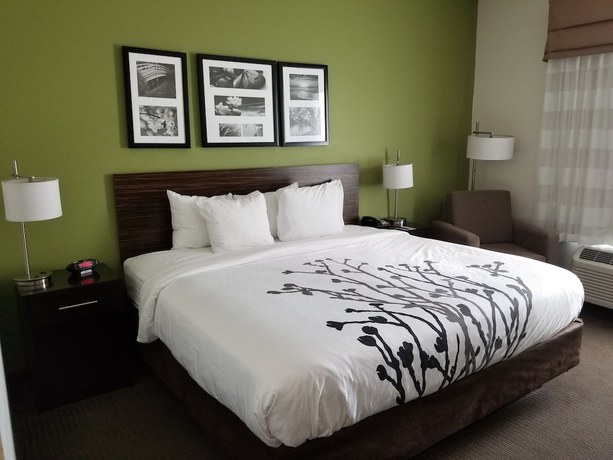 Imagen de la habitación del Hotel Sleep Inn and Suites Gulfport. Foto 15