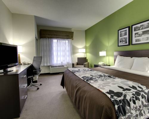 Imagen de la habitación del Hotel Sleep Inn and Suites Harrisonburg Near University. Foto 3