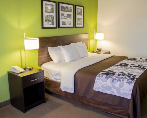 Imagen de la habitación del Hotel Sleep Inn and Suites Harrisonburg Near University. Foto 4