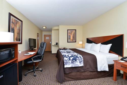 Imagen de la habitación del Hotel Sleep Inn and Suites Idaho Falls Gateway To Yellowstone. Foto 11
