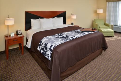 Imagen de la habitación del Hotel Sleep Inn and Suites Idaho Falls Gateway To Yellowstone. Foto 15