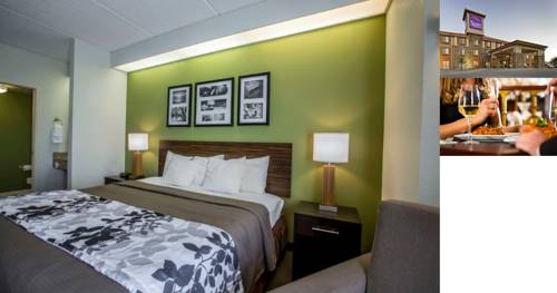 Imagen de la habitación del Hotel Sleep Inn and Suites, Ingleside. Foto 2