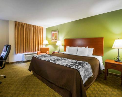Imagen de la habitación del Hotel Sleep Inn and Suites Jacksonville. Foto 3