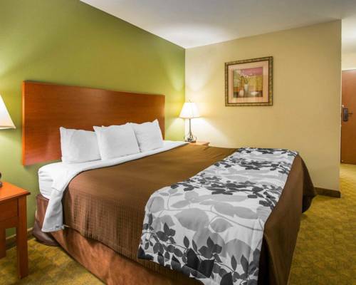 Imagen de la habitación del Hotel Sleep Inn and Suites Jacksonville. Foto 5