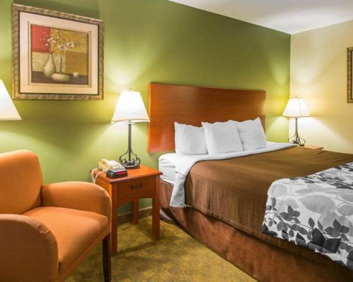 Imagen de la habitación del Hotel Sleep Inn and Suites Jacksonville. Foto 6