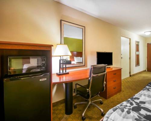 Imagen de la habitación del Hotel Sleep Inn and Suites Jacksonville. Foto 7