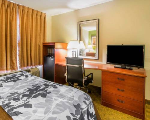 Imagen de la habitación del Hotel Sleep Inn and Suites Jacksonville. Foto 8
