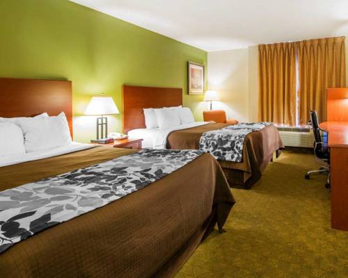 Imagen de la habitación del Hotel Sleep Inn and Suites Jacksonville. Foto 10
