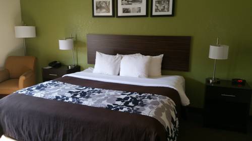 Imagen de la habitación del Hotel Sleep Inn and Suites Jacksonville Near Camp Lejeune. Foto 4