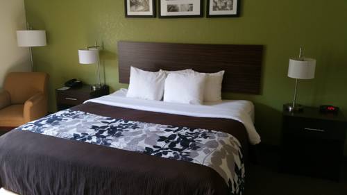 Imagen de la habitación del Hotel Sleep Inn and Suites Jacksonville Near Camp Lejeune. Foto 5