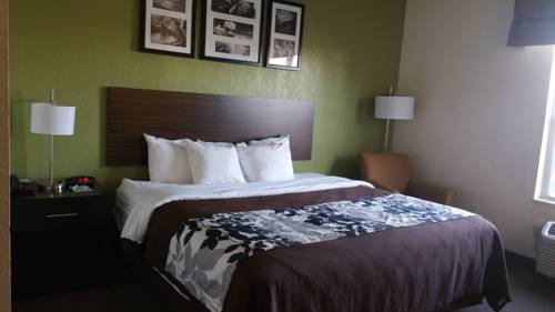 Imagen de la habitación del Hotel Sleep Inn and Suites Jacksonville Near Camp Lejeune. Foto 6