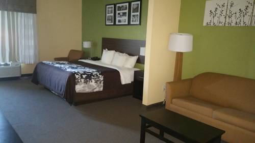 Imagen de la habitación del Hotel Sleep Inn and Suites Jacksonville Near Camp Lejeune. Foto 7