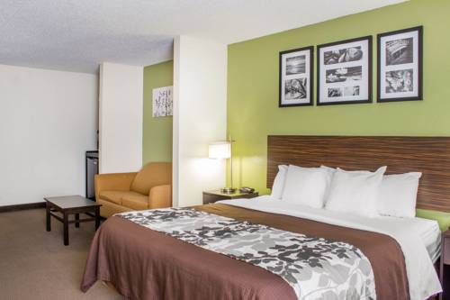Imagen de la habitación del Hotel Sleep Inn and Suites Jacksonville Near Camp Lejeune. Foto 9