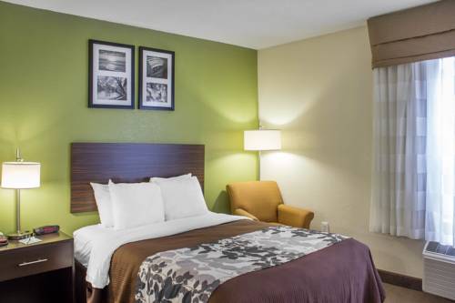 Imagen de la habitación del Hotel Sleep Inn and Suites Jacksonville Near Camp Lejeune. Foto 11