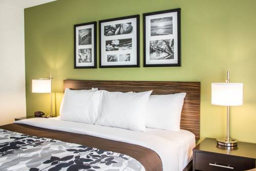 Imagen de la habitación del Hotel Sleep Inn and Suites Jourdanton - Pleasanton. Foto 3