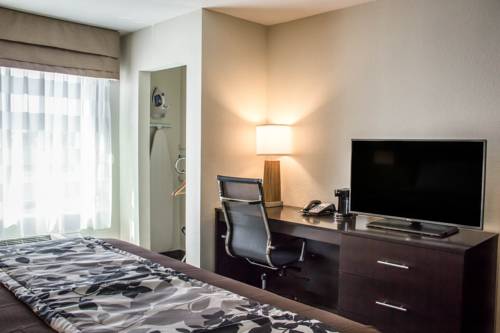 Imagen de la habitación del Hotel Sleep Inn and Suites Jourdanton - Pleasanton. Foto 4