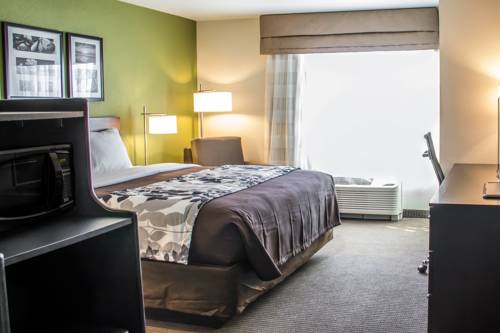 Imagen de la habitación del Hotel Sleep Inn and Suites Jourdanton - Pleasanton. Foto 5