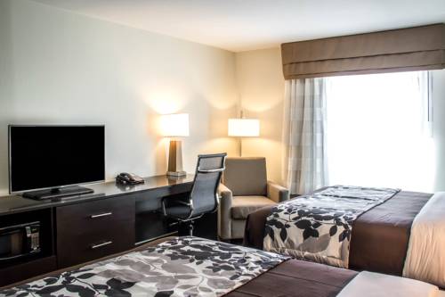 Imagen de la habitación del Hotel Sleep Inn and Suites Jourdanton - Pleasanton. Foto 6