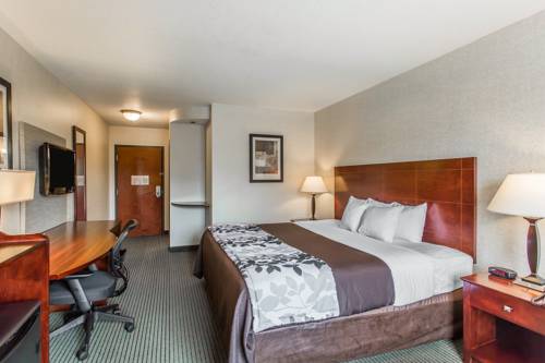 Imagen de la habitación del Hotel Sleep Inn and Suites Manchester. Foto 5