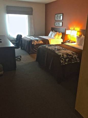 Imagen de la habitación del Hotel Sleep Inn and Suites Medical Center. Foto 6