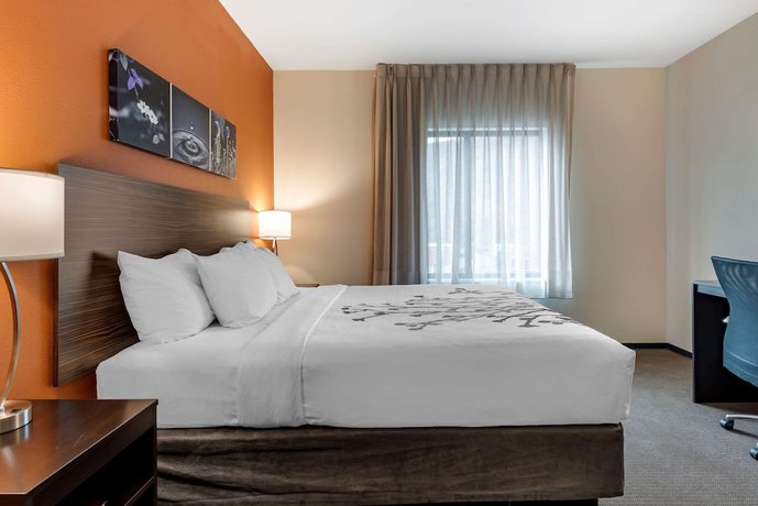 Imagen de la habitación del Hotel Sleep Inn and Suites Moab near Arches National Park. Foto 6