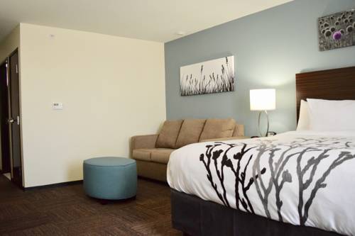 Imagen de la habitación del Hotel Sleep Inn and Suites Near Westchase. Foto 2