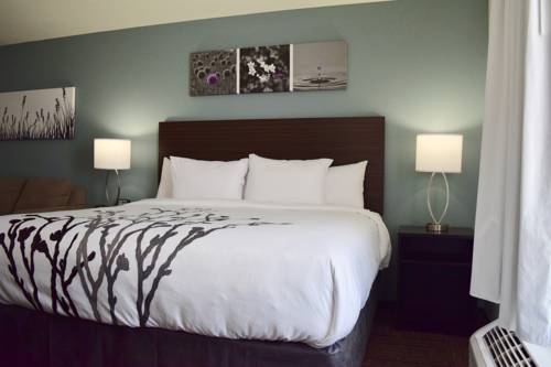 Imagen de la habitación del Hotel Sleep Inn and Suites Near Westchase. Foto 3