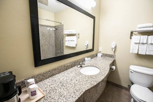 Imagen de la habitación del Hotel Sleep Inn and Suites New Braunfels. Foto 5