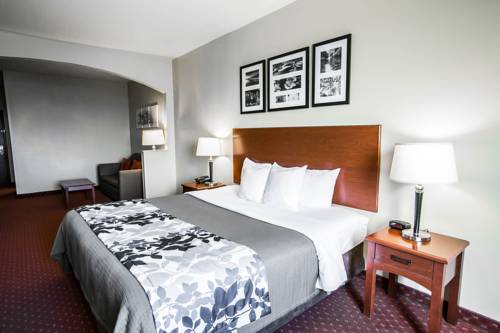 Imagen de la habitación del Hotel Sleep Inn and Suites New Braunfels. Foto 9