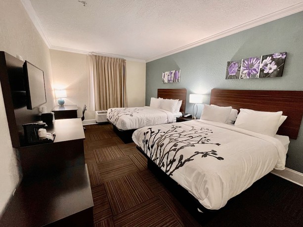 Imagen de la habitación del Hotel Sleep Inn and Suites Niceville &ndash; Destin. Foto 3