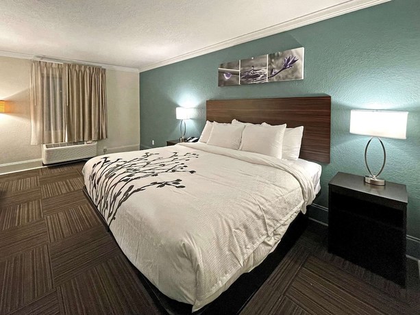 Imagen de la habitación del Hotel Sleep Inn and Suites Niceville &ndash; Destin. Foto 10