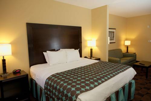 Imagen de la habitación del Hotel Sleep Inn and Suites North Mobile Saraland. Foto 5
