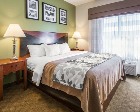 Imagen de la habitación del Hotel Sleep Inn and Suites Panama City Beach. Foto 10