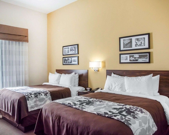 Imagen de la habitación del Hotel Sleep Inn and Suites, Parkersburg. Foto 6