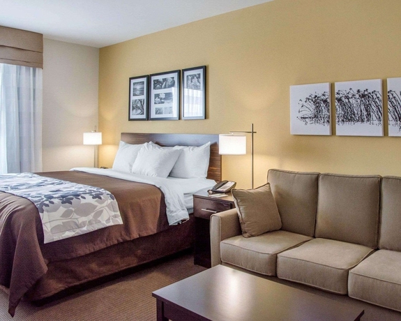 Imagen de la habitación del Hotel Sleep Inn and Suites, Parkersburg. Foto 11