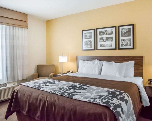 Imagen de la habitación del Hotel Sleep Inn and Suites, Parkersburg. Foto 12