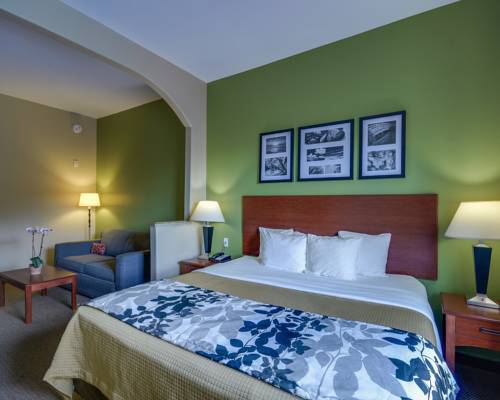 Imagen de la habitación del Hotel Sleep Inn and Suites Pearland - Houston South. Foto 7