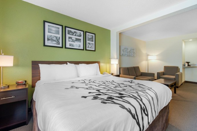 Imagen de la habitación del Hotel Sleep Inn and Suites Port Charlotte - Punta Gorda. Foto 2
