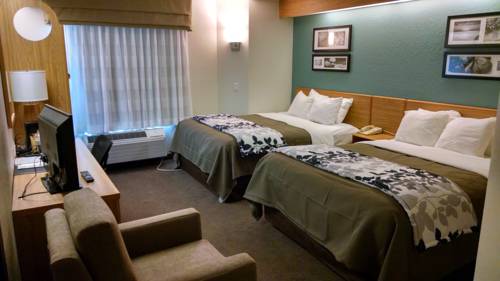 Imagen de la habitación del Hotel Sleep Inn and Suites Port Clinton. Foto 3