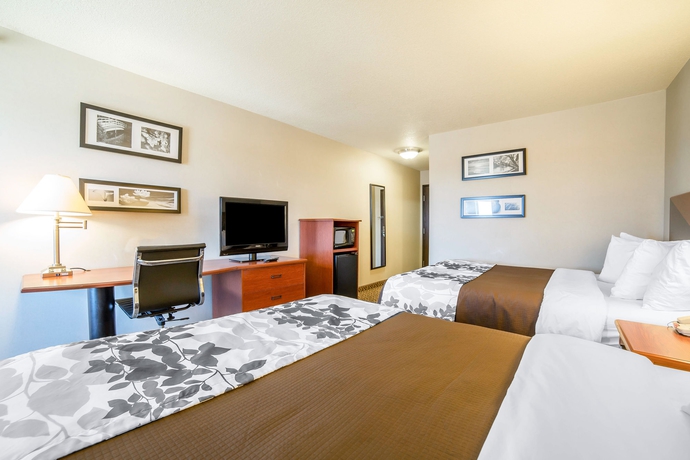 Imagen de la habitación del Hotel Sleep Inn and Suites Rapid City. Foto 5