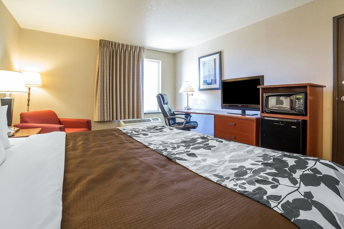 Imagen de la habitación del Hotel Sleep Inn and Suites Rapid City. Foto 6