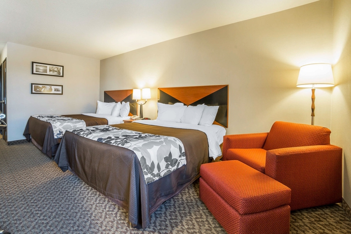 Imagen de la habitación del Hotel Sleep Inn and Suites Rapid City. Foto 10