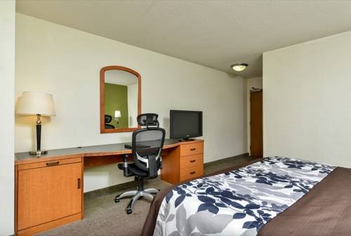 Imagen de la habitación del Hotel Sleep Inn and Suites Smyrna - Nashville. Foto 5